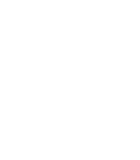 Beagle Freedom Project